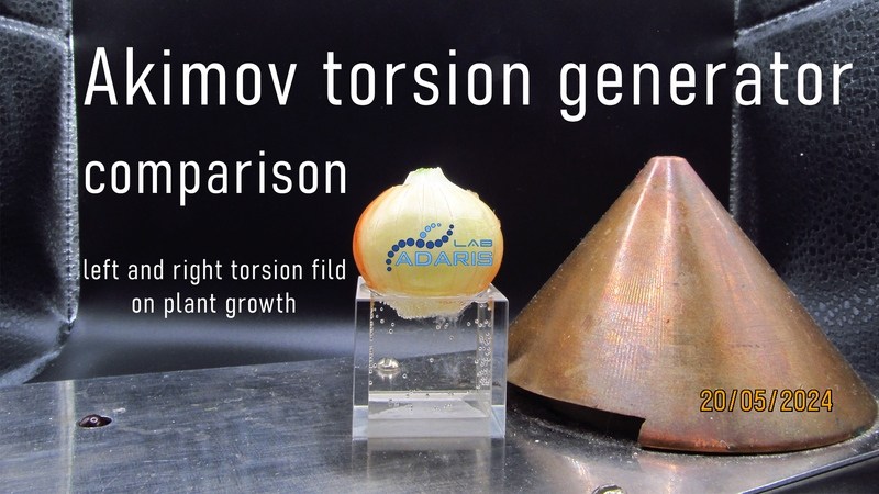 Торсионный генератор Акимова сравнение левого и правого торсионного поля при росте растений лука