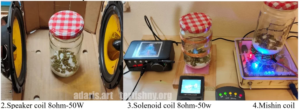 Квантово-биологический эксперимент: влияние спектра мШЭИ на рост семян гороха