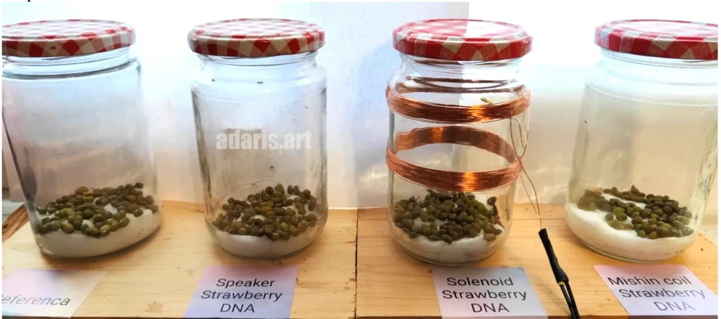 Квантово-биологический эксперимент: влияние спектра мШЭИ на рост семян гороха