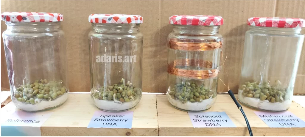 Квантово-биологический эксперимент: влияние спектра мШЭИ на рост семян гороха