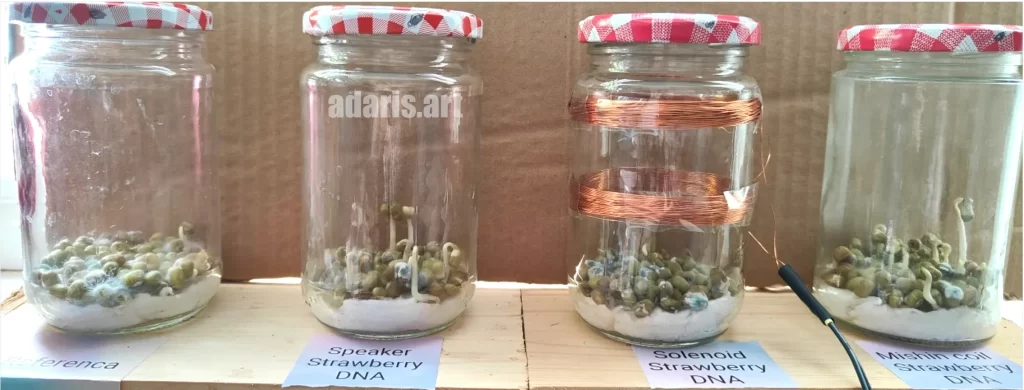 Квантово-биологический эксперимент: влияние спектра мШЭИ на рост семян гороха