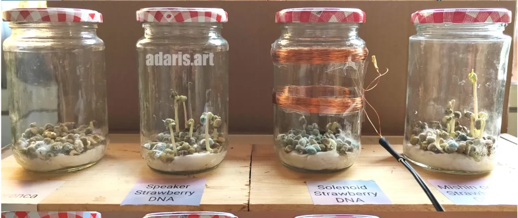 Квантово-биологический эксперимент: влияние спектра мШЭИ на рост семян гороха