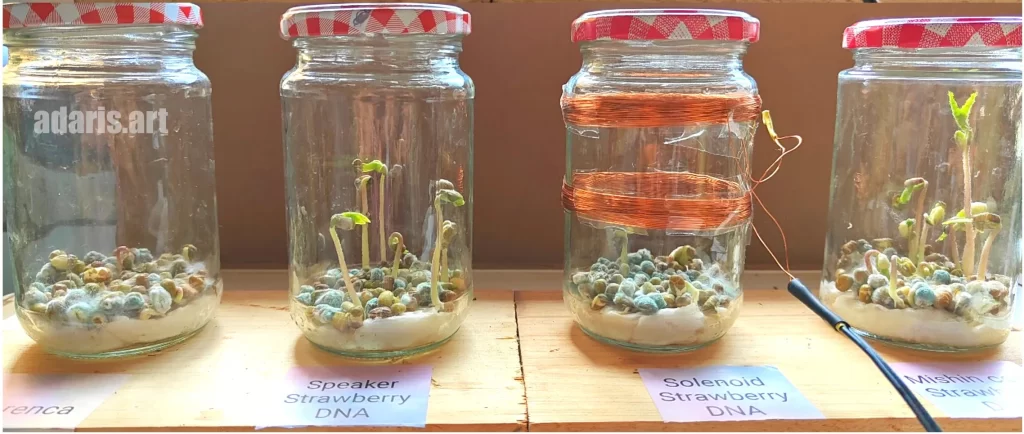 Квантово-биологический эксперимент: влияние спектра мШЭИ на рост семян гороха