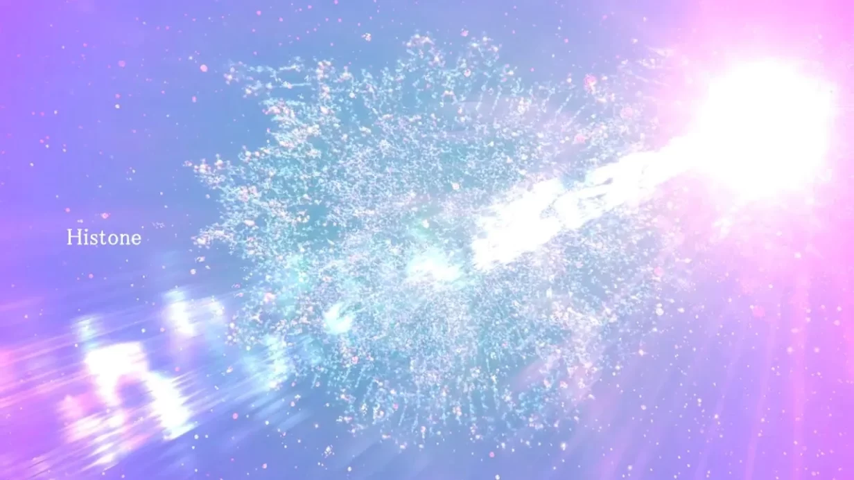 Музыка ДНК: как звучит базовый миелиновый белок человека (MBP), если перевести его трансляцию на музыку