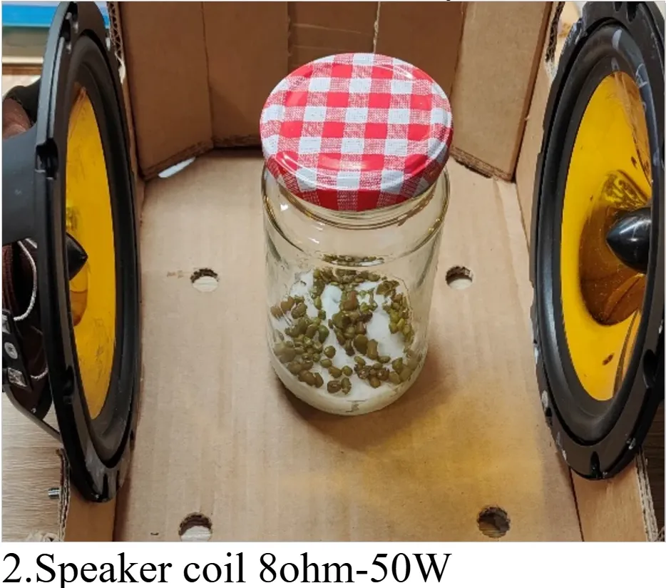 Квантово-биологический эксперимент: влияние спектра мШЭИ на рост семян гороха