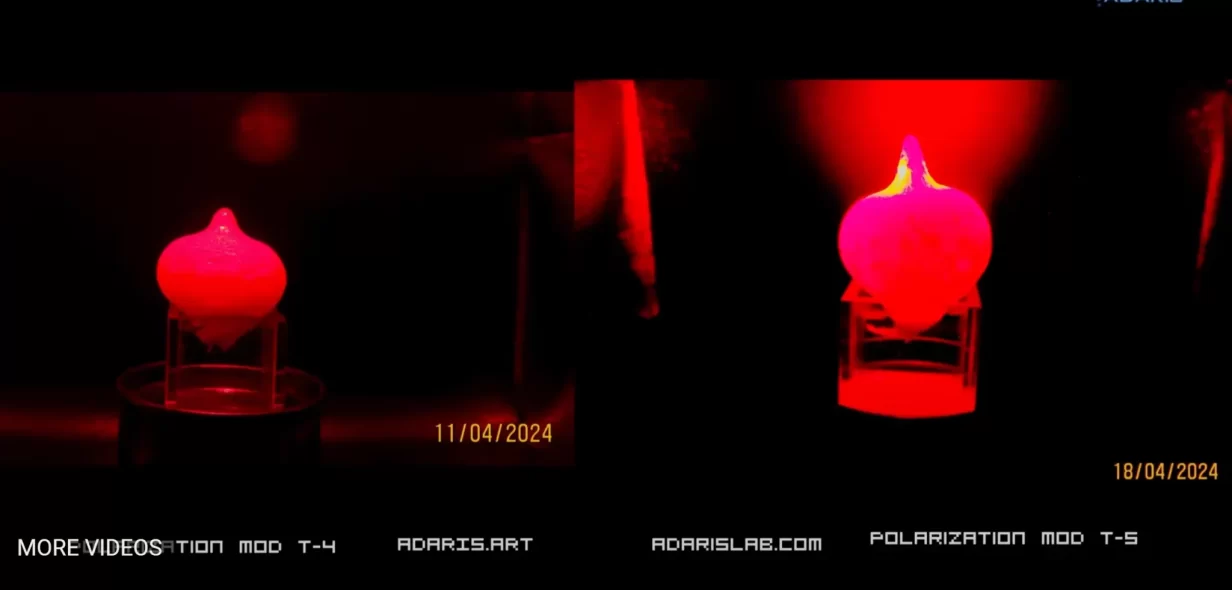 Эксперимент с голографическим методом управления биосистемами