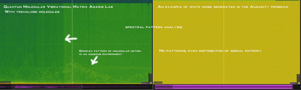 Quantum Vibrational audio Matrix: A New Approach to Molecular Information Transfer 23