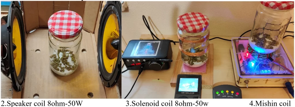 Quantum Biology Experiment Impact MBER Spectrum On Growth Pea Seeds 1