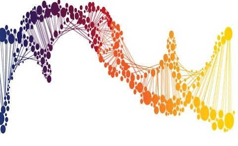 DNA Music: How the Myelin Protein MBP Sounds in the ZNF226 Genetic Environment 19