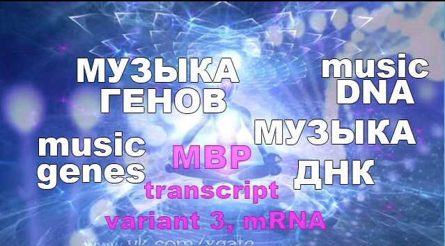 Genome Music: What the Assembly of Human MBP (Myelin Basic Protein) Variant 3 Sounds Like 1