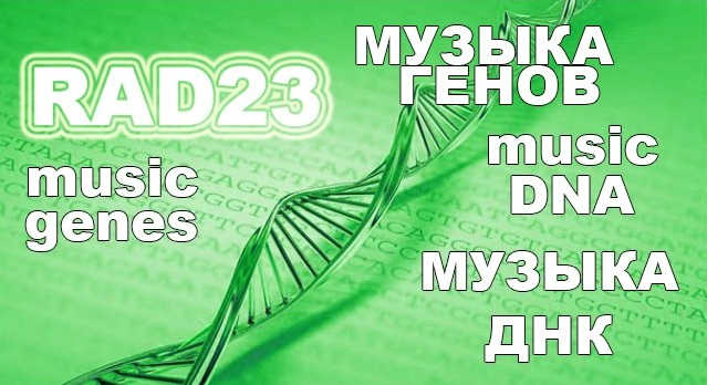 Genome Music: What the Assembly of the Human RAD23A Protein Sounds Like 9