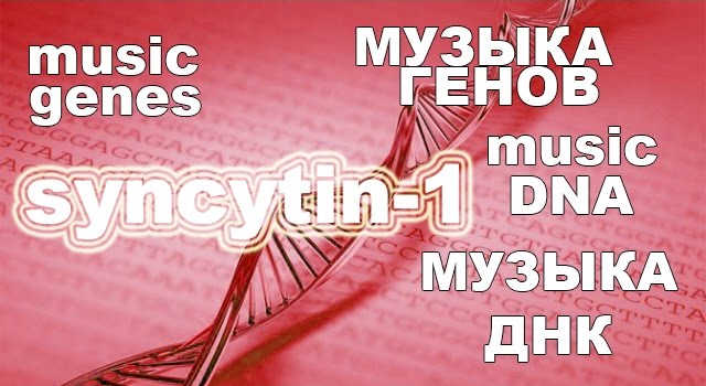 Genome Music: What the Assembly of the Ancient Human Viral Protein Syncytin-1 Sounds Like 7